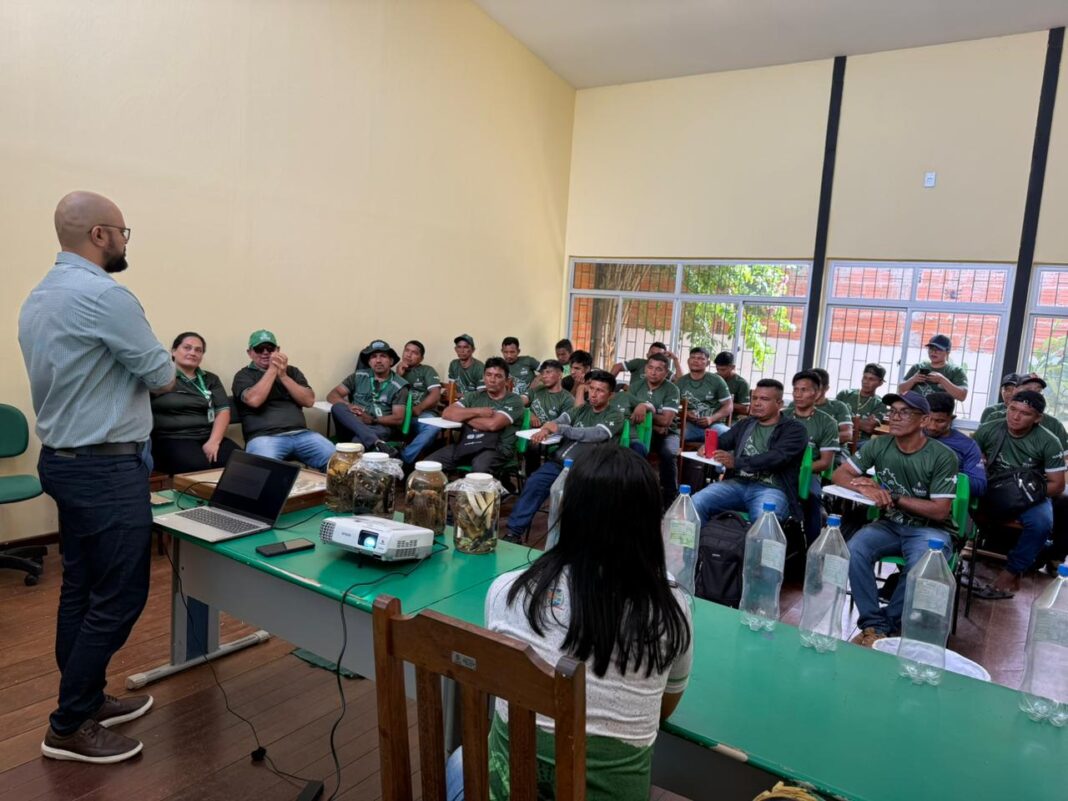 Foto: Stephany Farias