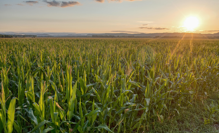 8be975a9-dc11-4812-aefc-182a1a80a432