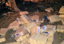 Visa Manaus apreende duas toneladas de queijo vencido em comércio na zona Centro-Oeste da cidade