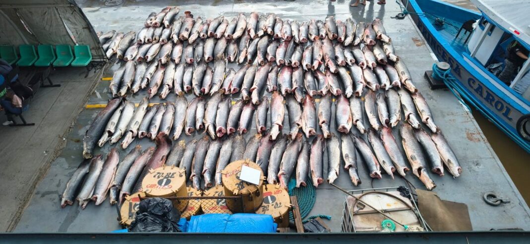 BASE_ARPÃO_PESCADO_ILEGAL_FOTO_DIVULGAÇÃO_SSP (1)
