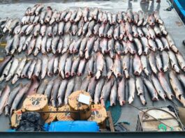 Base Arpão 2: PMAM apreendeu mais de 16 toneladas de pescado ilegal em Coari