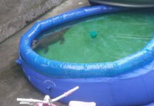 Em Manaus, dona de casa encontra jacaré em piscina de plástico e aciona o Corpo de Bombeiros para o resgate