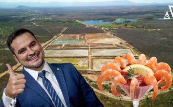 Patrimônio em Dobro e com Camarão: Como o Deputado Alberto Neto expandiu seus negócios no Ceará enquanto legisla pelo AM