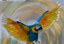 CULTURA: Exposição “Aurum Amazônico”, de Rejane Melo, abre nesta quinta-feira (5/3) no Museu da Cidade de Manaus