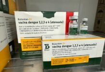 Vacina contra dengue: FVS-RCP orienta imunização de trabalhadores da Atenção Primária no Amazonas