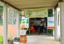 Parev: Últimos dias para submeter propostas ao programa da Fapeam de apoio à realização de eventos científicos e tecnológicos