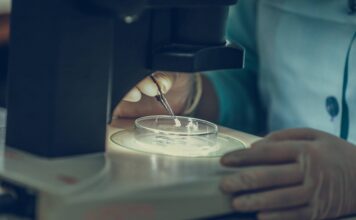 Fapeam abre as inscrições para programas inéditos Lidera Cientista, Provida e Socio Tech