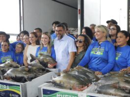 Governador Wilson Lima inicia entrega de 470 toneladas de peixe e reforça segurança alimentar na Semana Santa
