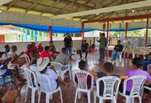 Parceria entre Prefeitura de Parintins e Coca-Cola impulsiona produção de guaraná no Rio Uaicurapá