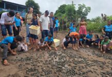 Prefeitura de Parintins participa da 23ª Soltura de Quelônios no Parintinzinho