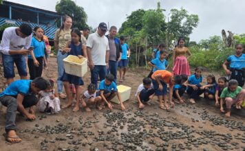 Prefeitura de Parintins participa da 23ª Soltura de Quelônios no Parintinzinho