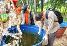 Prefeitura de Parintins intensifica visitas aos Pontos Estratégicos no combate às arboviroses