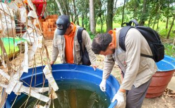 Prefeitura de Parintins intensifica visitas aos Pontos Estratégicos no combate às arboviroses
