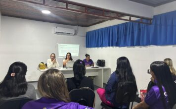 Conselho Municipal da Mulher discute condutas institucionais e amplia alinhamento entre membros