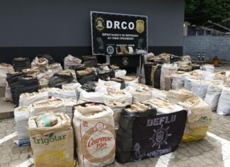 PC-AM apreende cerca de 4,5 toneladas de skunk avaliadas em mais de R$ 86 milhões