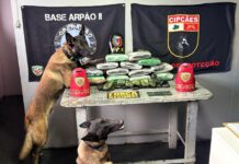 Fronteira Mais Segura: PMAM apreende 29 kg de entorpecentes durante ações em Codajás e Coari