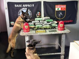 Fronteira Mais Segura: PMAM apreende 29 kg de entorpecentes durante ações em Codajás e Coari