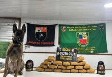 Apreensão de drogas no Rio Solimões soma 218 quilos em operações fluviais