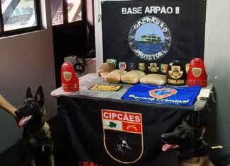 Base Arpão 2: PMAM apreende dois carregamentos de droga na mesma embarcação avaliados em R$ 260 mil