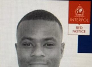 O plano do Comando Vermelho para blindar Gerel Palm