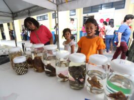 Mutirão de serviços garante mais de 7,8 mil atendimentos à população da zona sul de Manaus