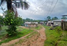 Plano Diretor é peça-chave para o desenvolvimento sustentável e captação de recursos nos municípios do Amazonas