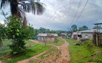 Plano Diretor é peça-chave para o desenvolvimento sustentável e captação de recursos nos municípios do Amazonas