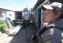 Idosa é morta a golpes de marreta em Sapucaia do Sul e RS chega ao 25º feminicídio em 2026