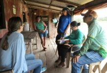 Prefeitura de Parintins e Embrapa promovem ação para combater praga que atinge plantações de banana na zona rural