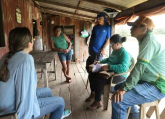 Prefeitura de Parintins e Embrapa promovem ação para combater praga que atinge plantações de banana na zona rural