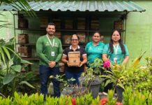 Prefeitura de Parintins e IPAAM criam ações para regularização na Meliponicultura