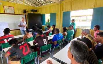 Agricultores da Várzea recebem ação da Prefeitura de Parintins e Embrapa
