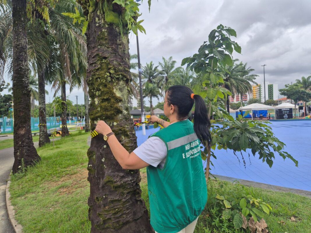 Prefeitura de Manaus realiza manutenção da arborização no CSU do Parque 10 e inicia plantio de 2 mil mudas no local 3