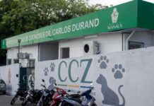 Prefeitura abre vagas para castração de cães e gatos no CCZ Manaus nesta quarta-feira