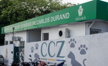 Prefeitura abre vagas para castração de cães e gatos no CCZ Manaus nesta quarta-feira