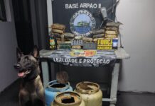Base Arpão 2: PMAM apreende 29,5 quilos de drogas que estavam escondidas em botijas de gás