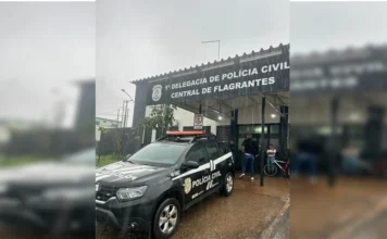 Homem mata esposa e neto a golpes de picareta
