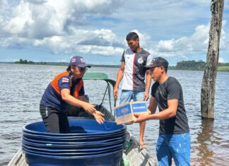 Governo do Amazonas divulga boletim sobre a cheia no estado, nesta quarta-feira