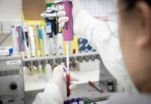 Governo de São Paulo confirma meningite meningocócica em paciente internado com suspeita do vírus Ebola