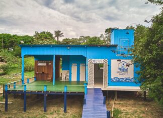 Ações na Amazônia protegem 11,3 milhões de hectares e impactam mais de 21,9 mil famílias