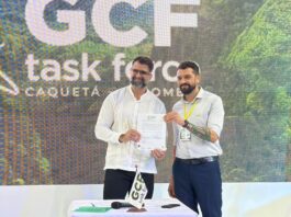 Governo do Amazonas firma parceria com FSC Brasil para fortalecer manejo sustentável em Unidades de Conservação