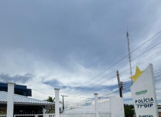 PC-AM apreende drogas, celulares e materiais do tráfico durante ação de forças integradas em Novo Airão