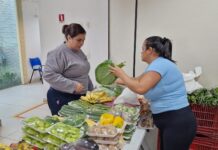 Manausprev promove feirinha com produtos regionais e fortalece empreendedorismo local nesta quarta-feira