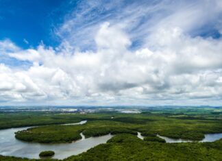 Amazonas atualiza regras para regularização de Territórios de Uso Comum de povos indígenas e comunidades tradicionais