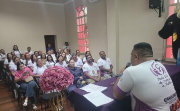 Conselho da Mulher e Prefeitura unem instituições e criam Rede Lilás de enfrentamento à violência contra a mulher