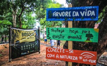 Novo Bosque Linear das Acácias transforma espaço urbano em área de convivência e sustentabilidade