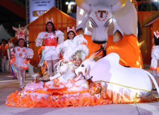 Prefeitura de Parintins encerra as 59ª Festividades Folclóricas com noite emocionante dos Bois Mirins