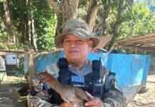 Patrulhamento Ambiental realiza resgate de dois animais silvestres em diferentes zonas da capital