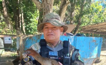 Patrulhamento Ambiental realiza resgate de dois animais silvestres em diferentes zonas da capital