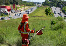 Prefeitura de Manaus intensifica mutirão de limpeza na avenida das Flores e melhora trafegabilidade para população